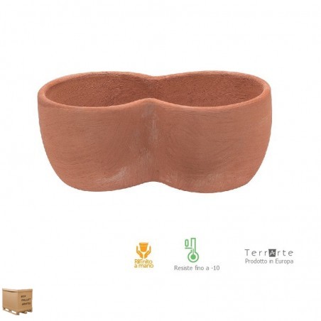 Vasi in terracotta-Cassetta Primula a  due 28 cm-II scelta