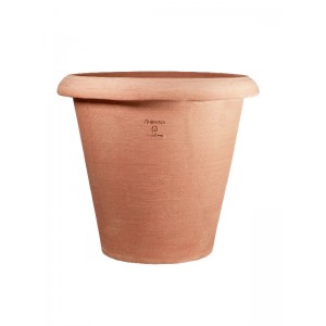 vaso di terracotta camelia